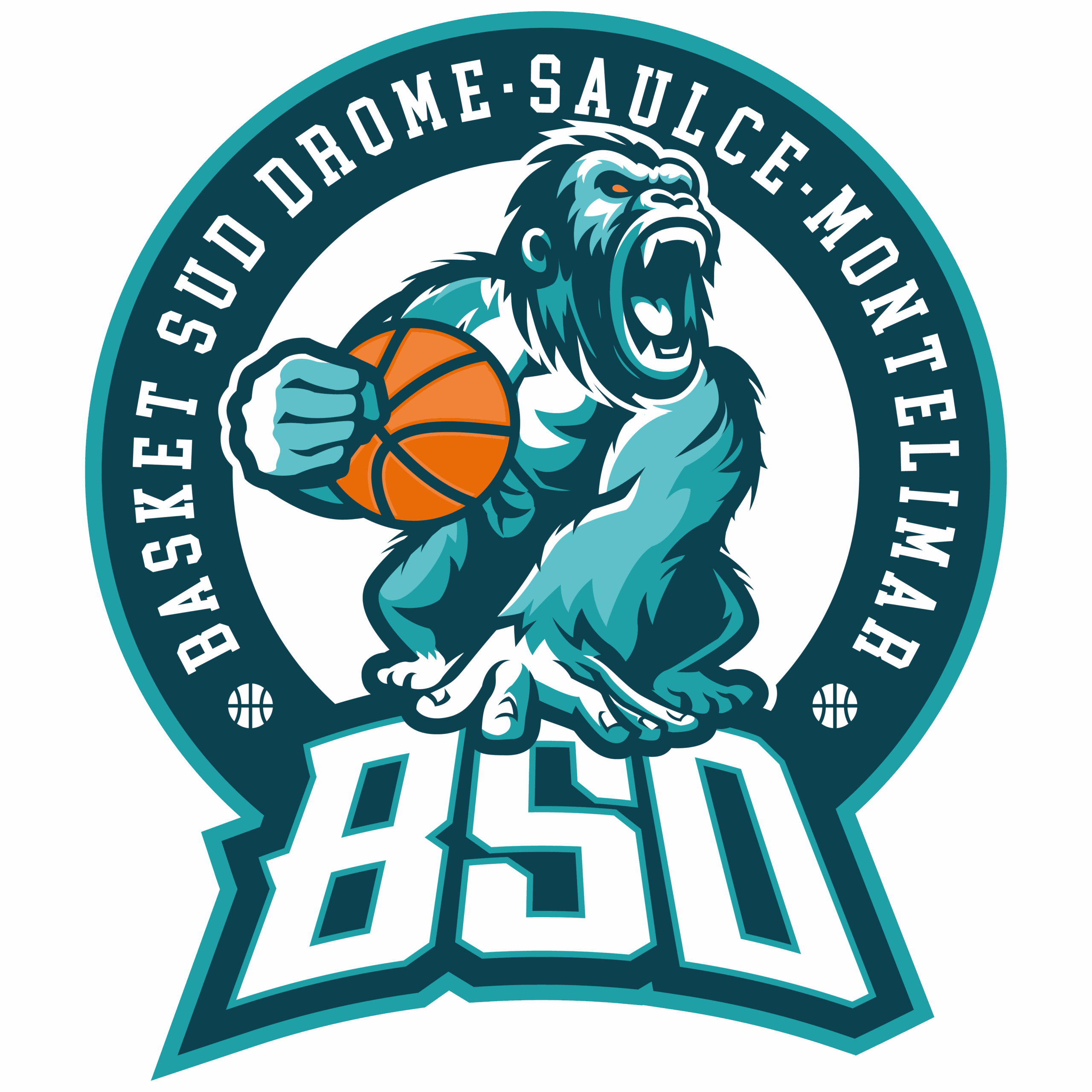 logo basket sud drome site internet