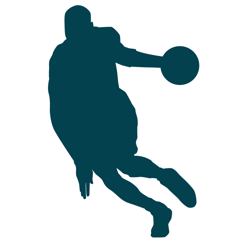 BSD, club de basket Nationale Masculine 3 à Montélimar