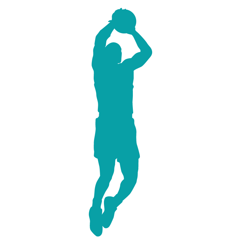 Basket Sud Drôme, club de basket à Montélimar