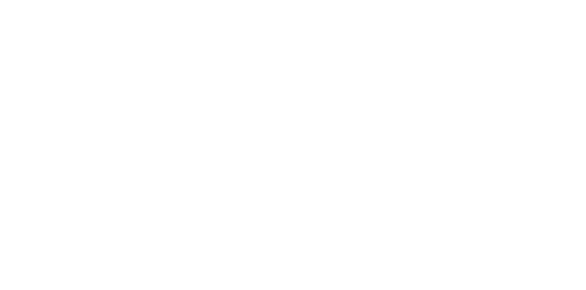 logo FFBB horizontal blanc