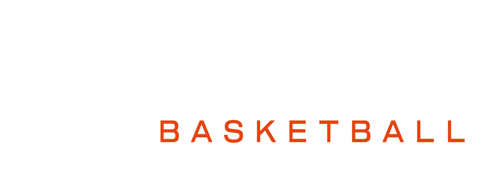 logo ligue aura horizontal blanc