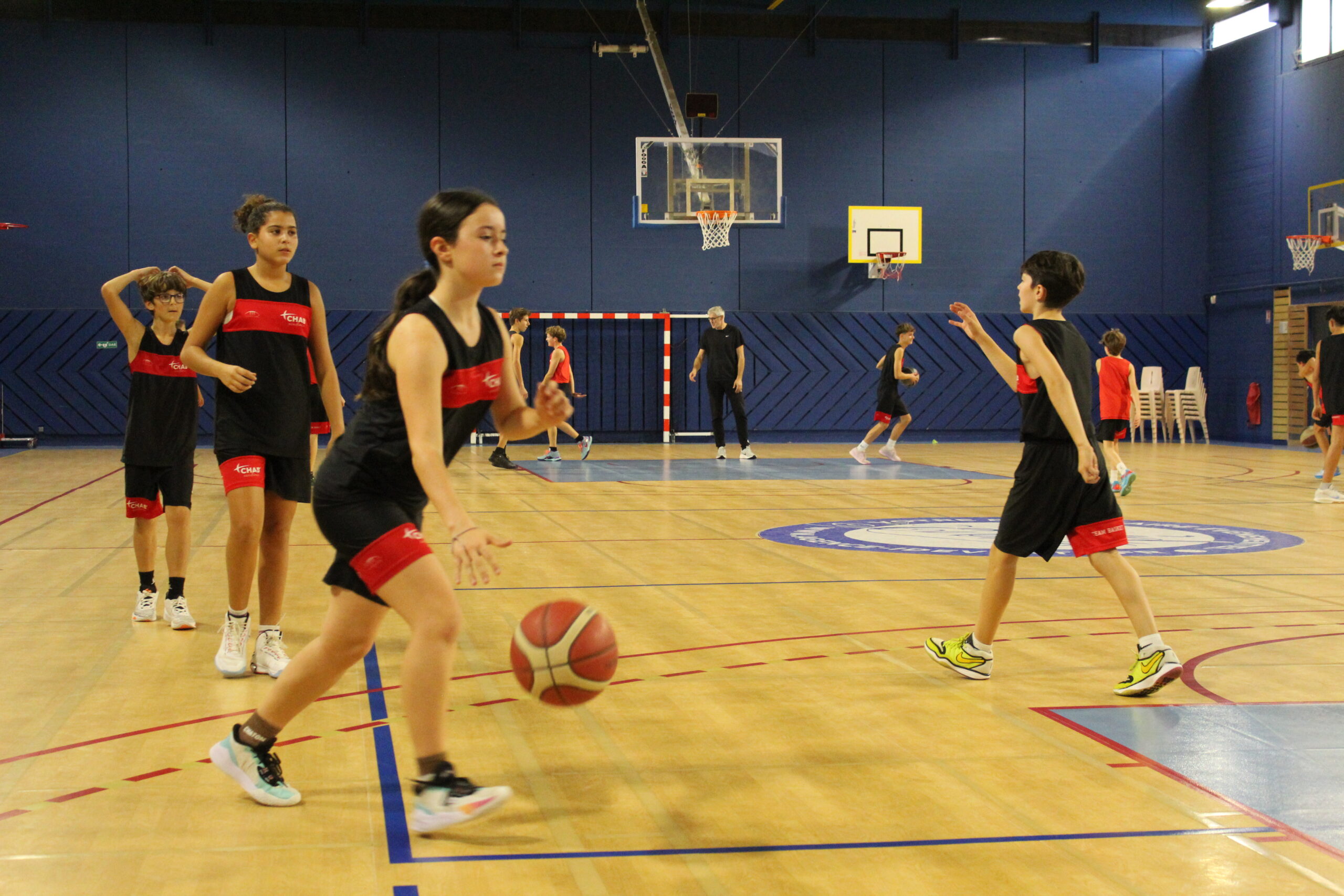 ums basket section basket chabrillan ums basket section basket chabrillan